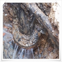 믿음하수구 PC 갤러리 5