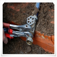 믿음하수구 PC 갤러리 4